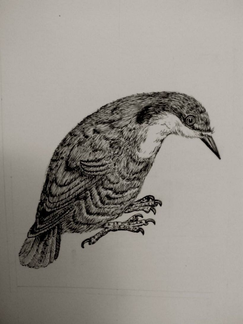 Illustrations 15