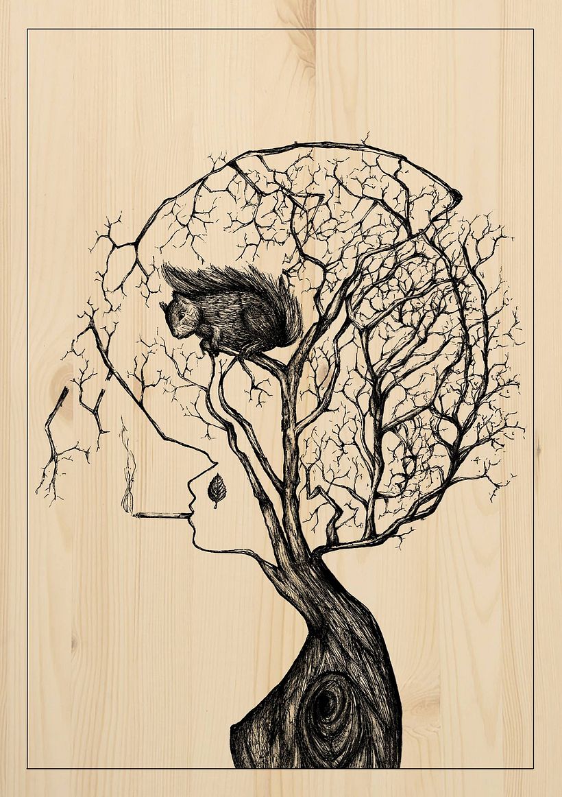 Illustrations 4