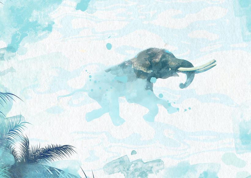 Illustrations 14