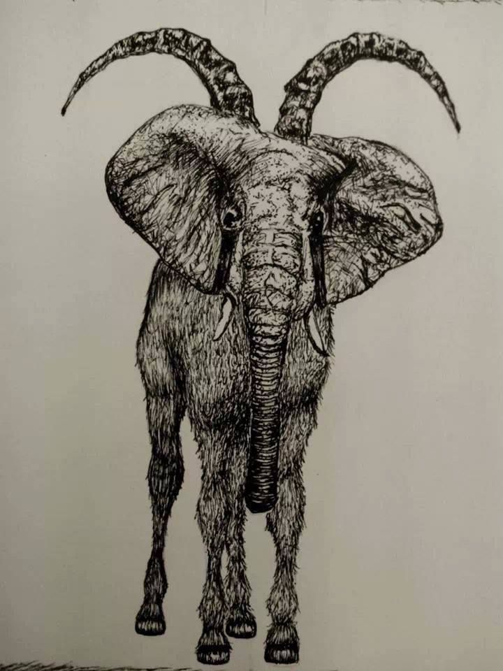 Illustrations 17