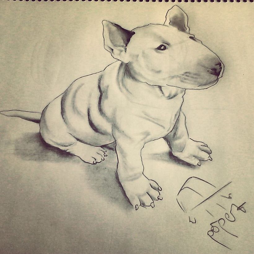 Ilustración Digital 1