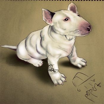 Ilustración Digital 2