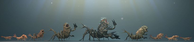 Modelos 3D camarón -1