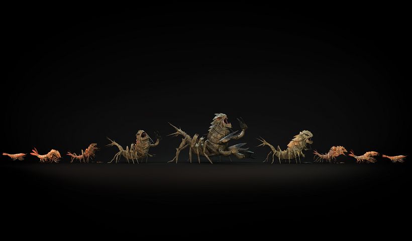 Modelos 3D camarón 0