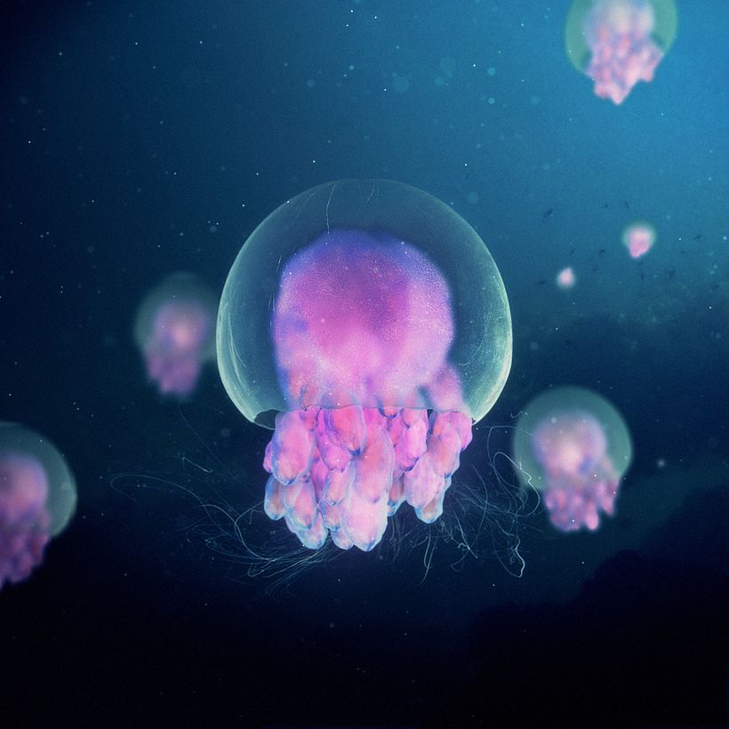Morphika LAB - experiments - - Tradycyjna ilustracja