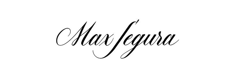 Max Segura - Wedding Photographer 1