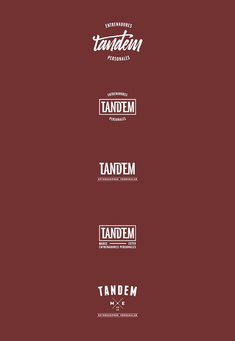 TANDEM -1