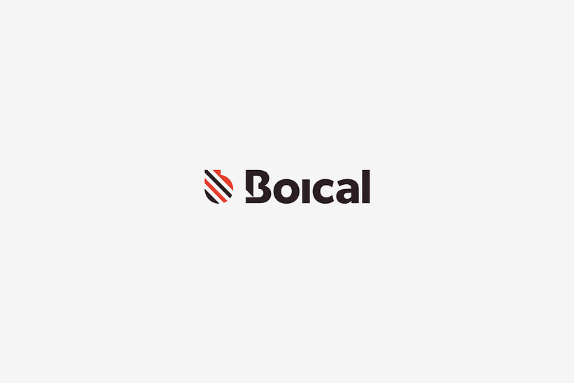 Boical Branding 8
