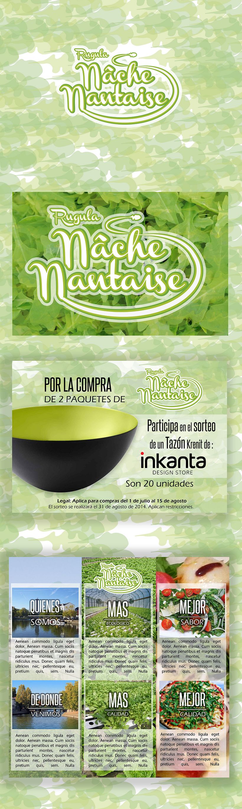 IMAGEN CORPORATIVA NACHE NANTAISE 0
