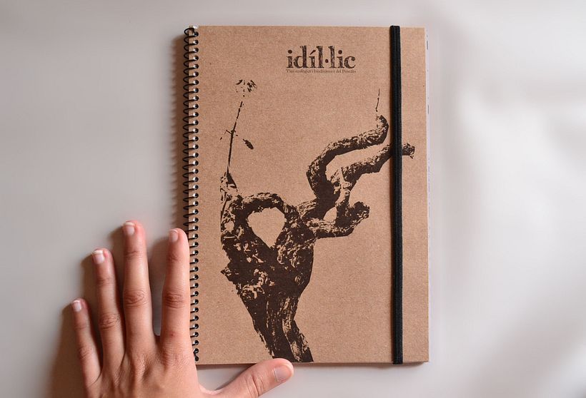 Idíl·lic 7