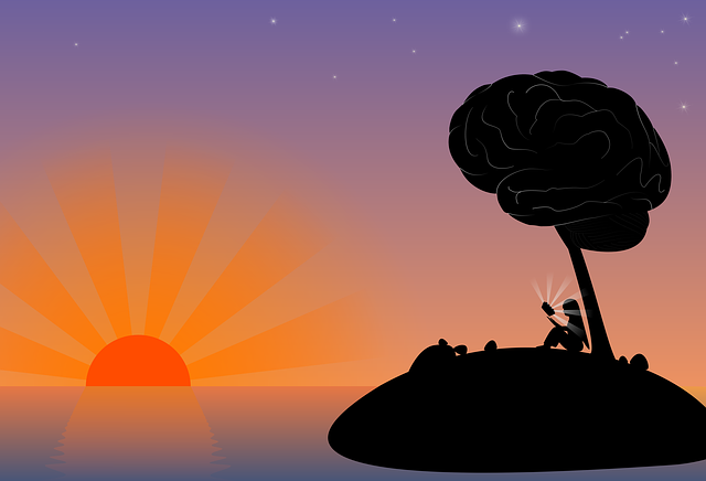 Imágenes cognitivas. Proceso 0