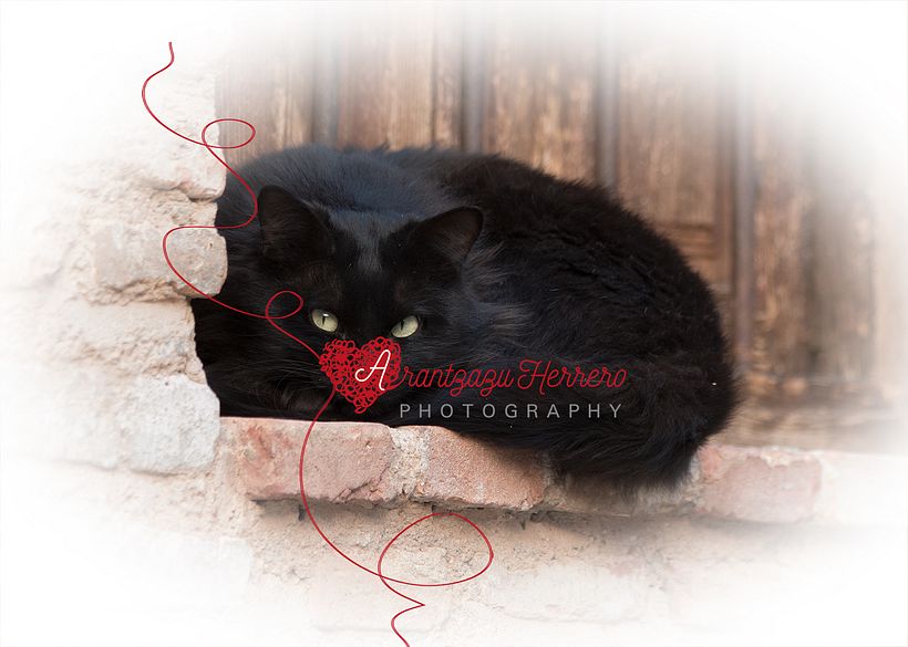 Branding * fotógrafa bodas y parejas 8