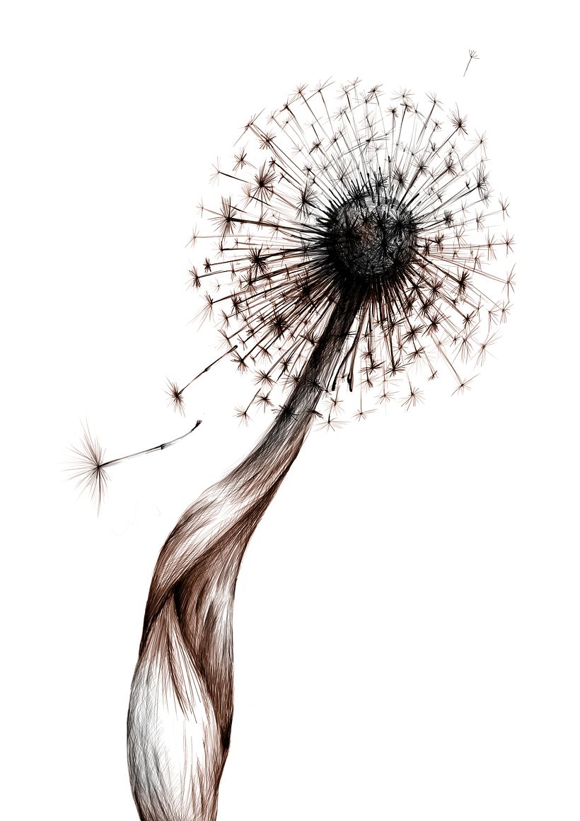 Flowers - Ilustração tradicional