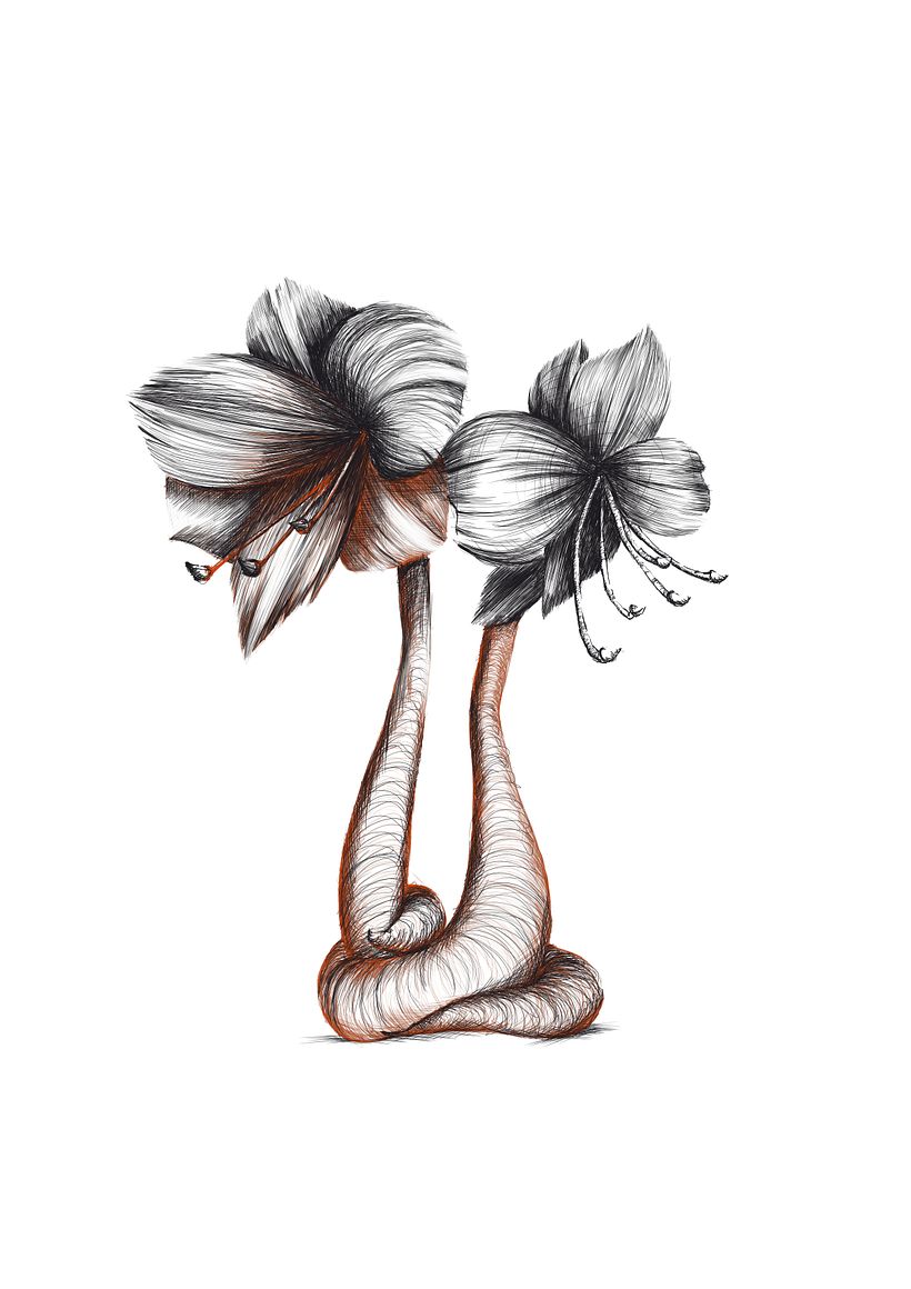 Flowers - Ilustração tradicional