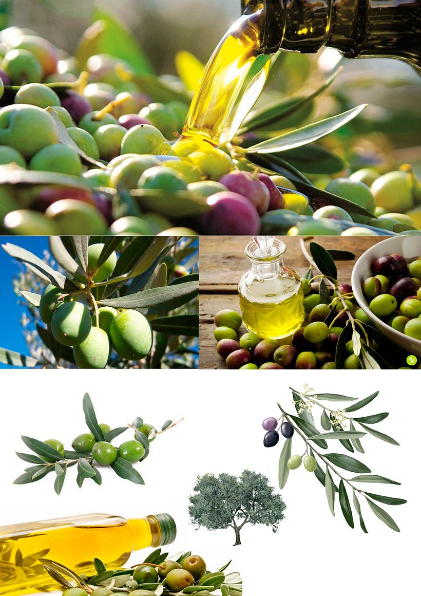 Mi Proyecto del curso Motivos para repetir  0