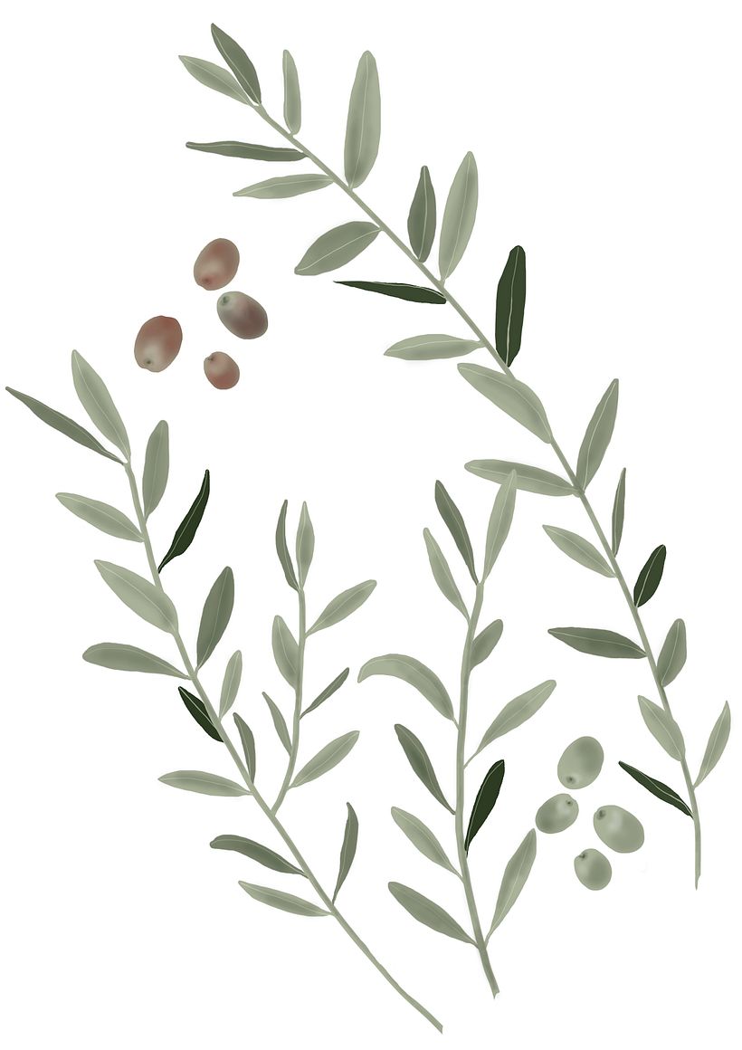 Mi Proyecto del curso Motivos para repetir  1