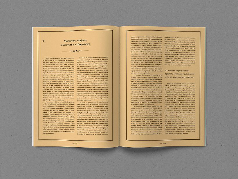 Beethoven Magazine - Traditional illustration