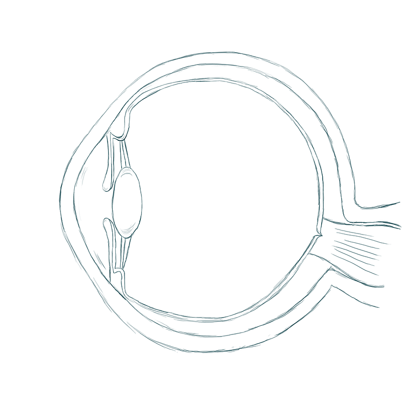 Ilustración para la edición española de la revista Forbes 2