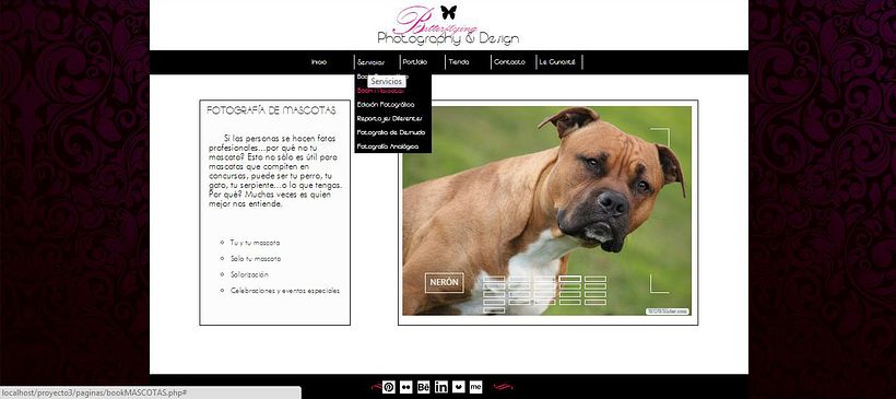 Web Butterflying_Photography&Design 1