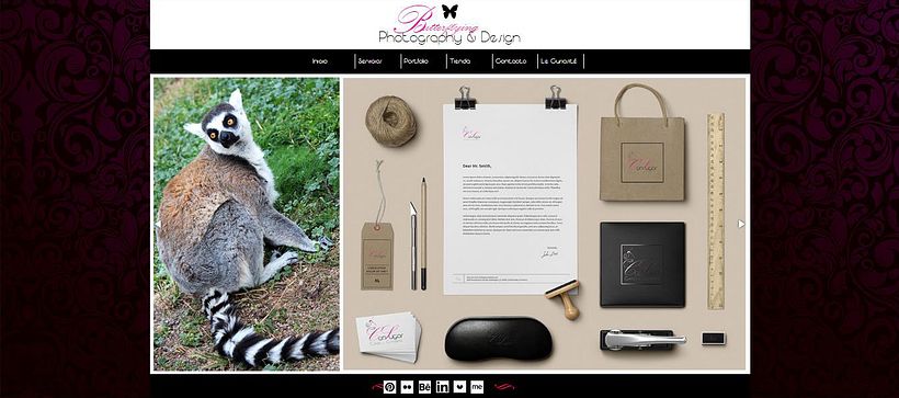 Web Butterflying_Photography&Design 4