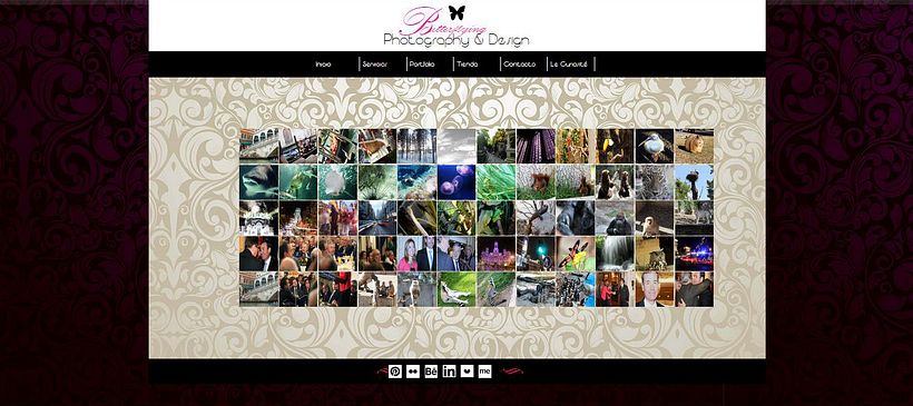 Web Butterflying_Photography&Design 3