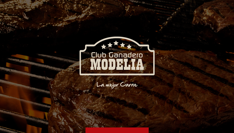 LOGOFOLIO 10