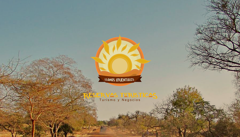 LOGOFOLIO 14