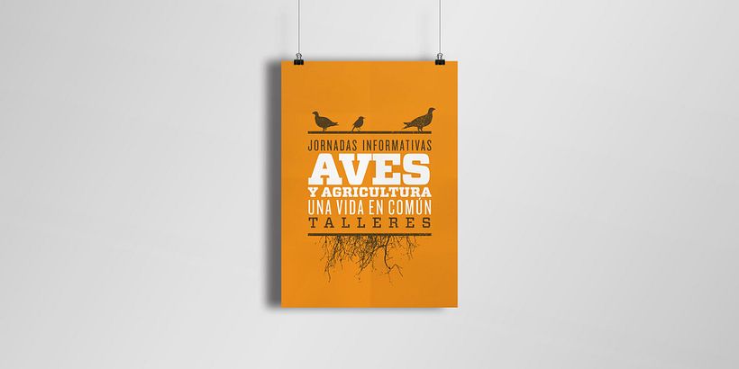 Carteles 7