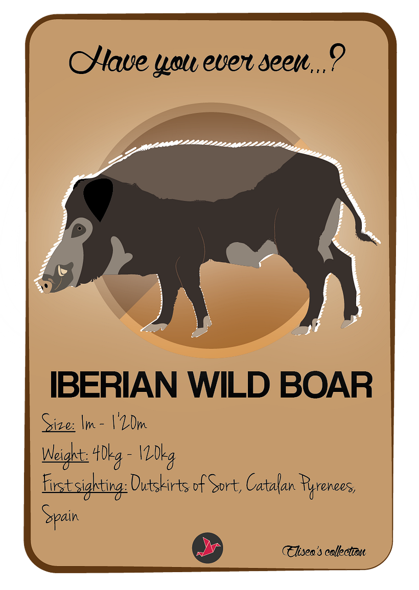 Have you ever seen? 3