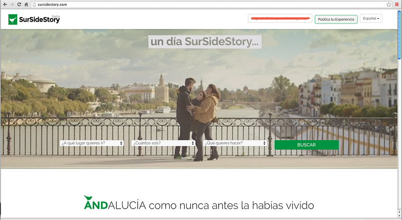 Se busca socio emprendedor en el área de desarrollo web y programación para SURSIDESTORY.COM 1