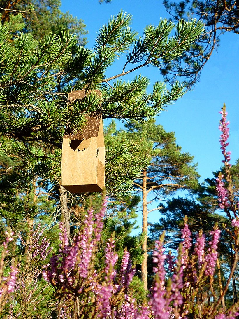 Birdhouses 8