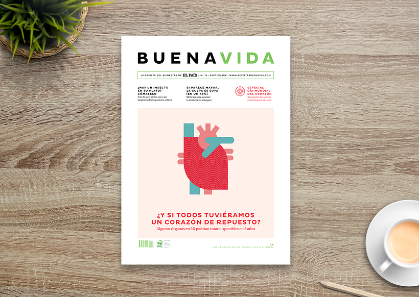 BuenaVida magazine Look & Feel  - Editorial Design