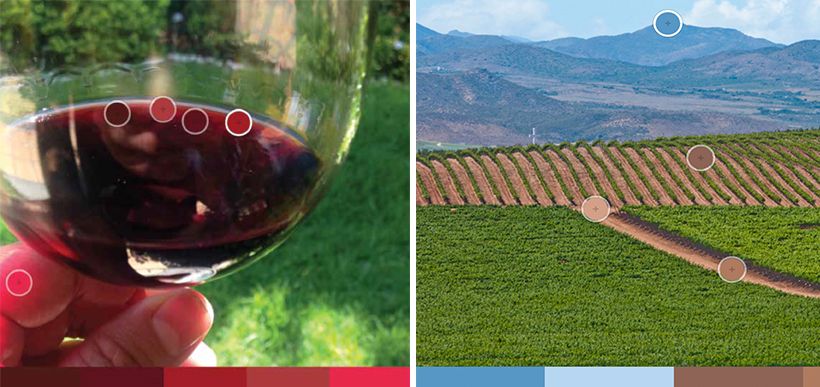 30. Jahrestag des Nebbiolo 2