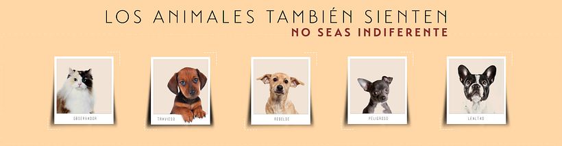 No seas indiferente 0