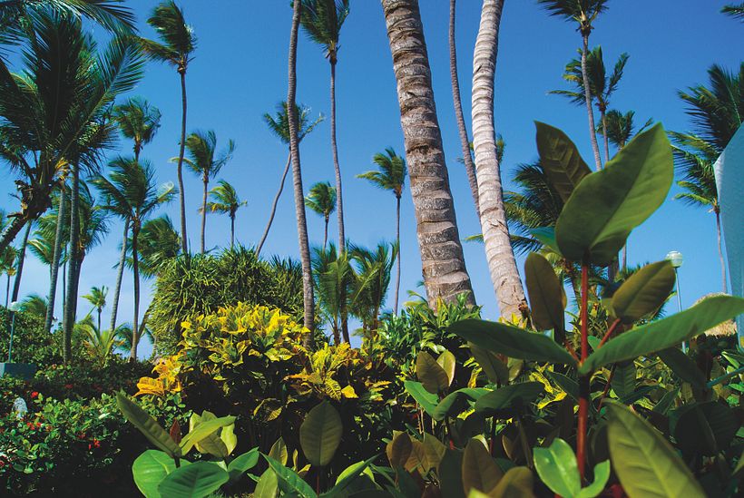 El latido de la libertad 3