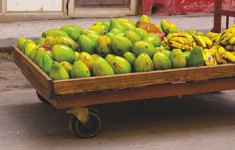 El latido de la libertad 7