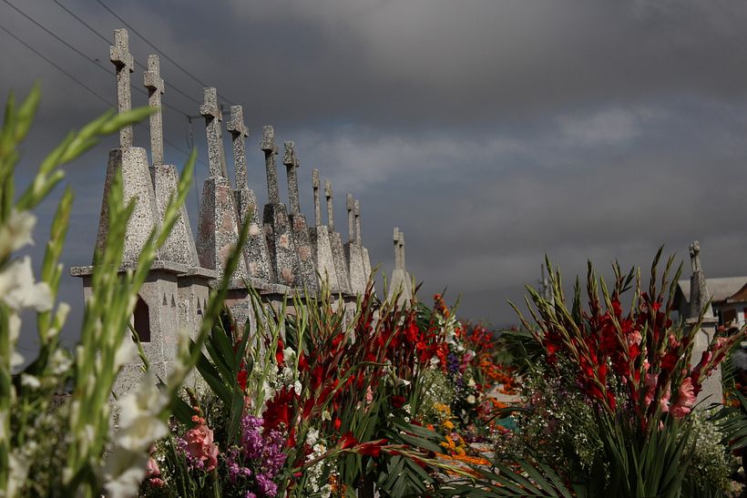 Día de muertos 13