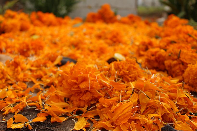 Día de muertos 17