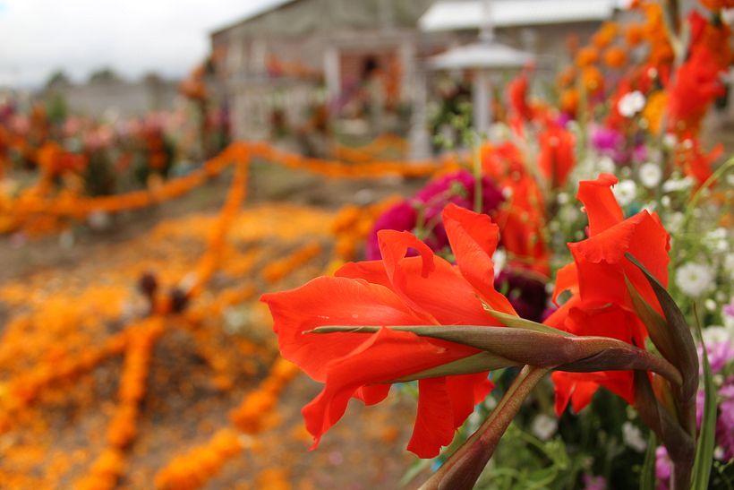 Día de muertos 20