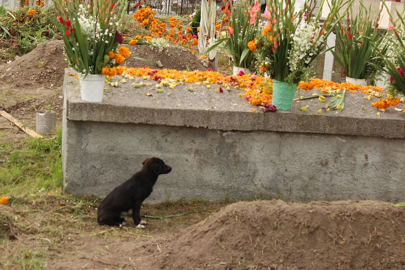 Día de muertos 26