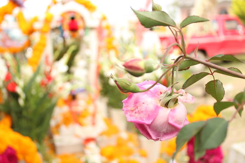 Día de muertos 27