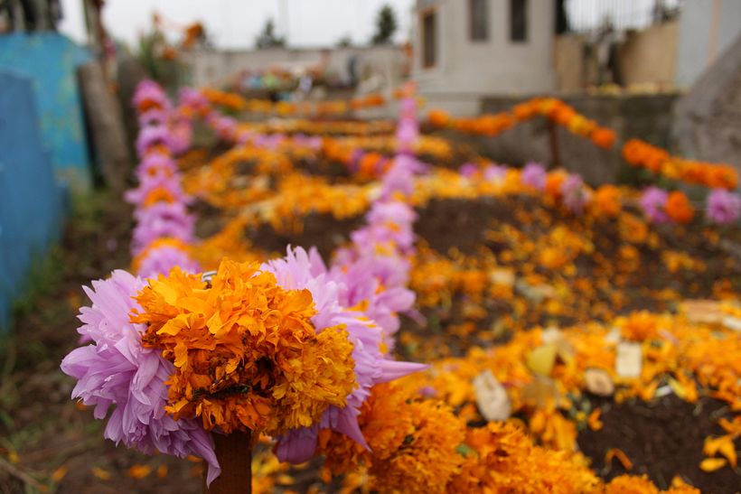 Día de muertos 36