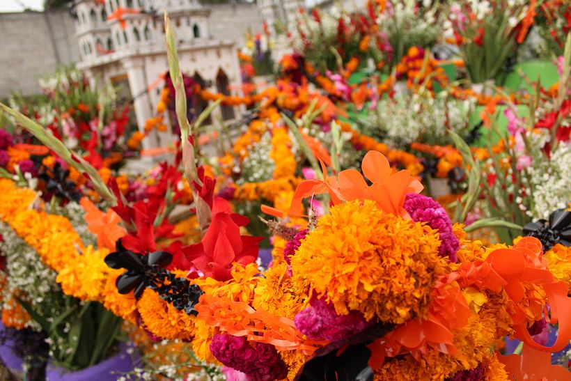 Día de muertos 41