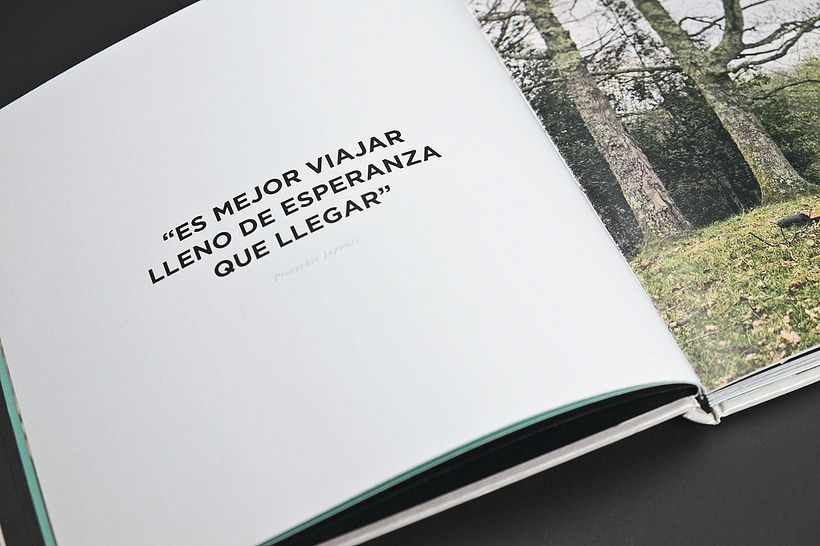 Guiomar Book 9