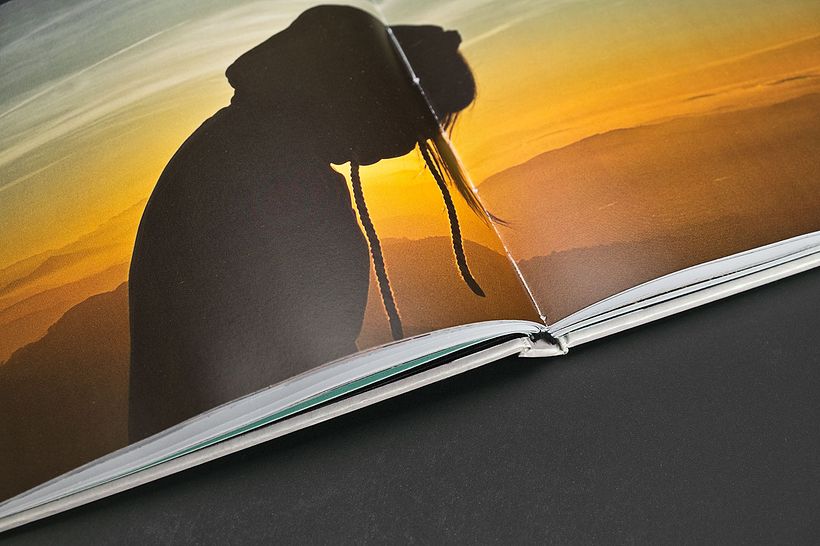 Guiomar Book 14