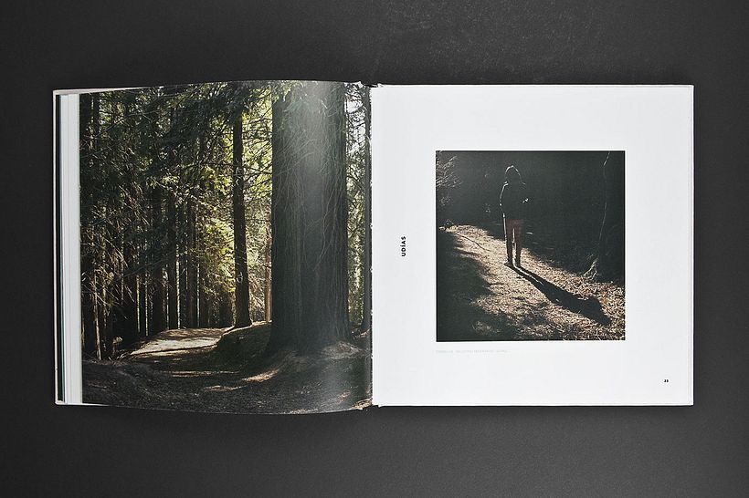 Guiomar Book 20