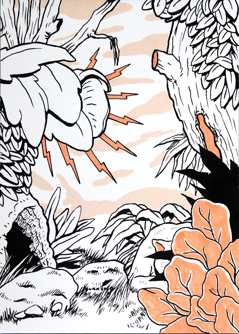 JUNGLA -1