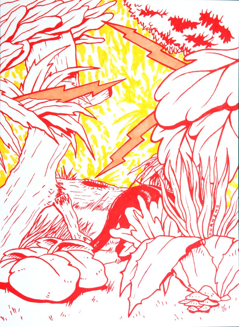 JUNGLA 2