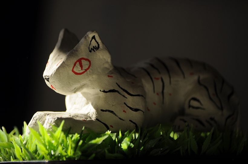 JUNGLA 5