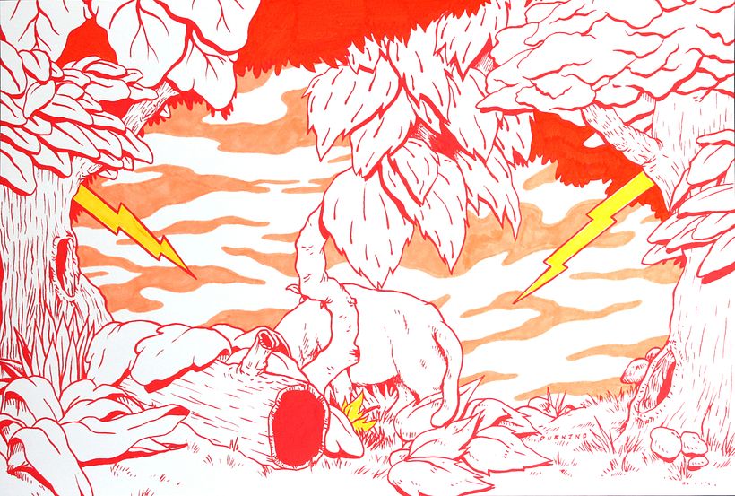 JUNGLA 12